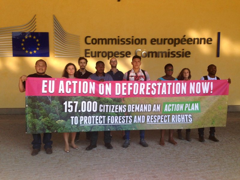 action on deforestation in Brussels - 29 June 2018
