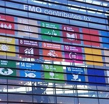 mediaitem/1FMO_and_SDGs
