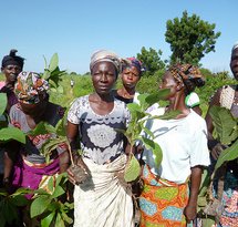 mediaitem/Woman_farmers_in_Ghana